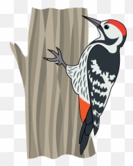 Woodpecker Clipart - Woodpecker Clipart Emoji,Woodpecker Emoji