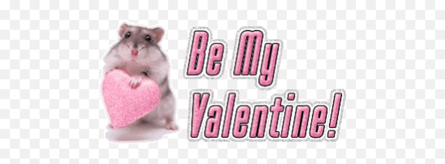 Top Stickers For - My Valentine Animated Gif Transparent Emoji,Hamster Emoji