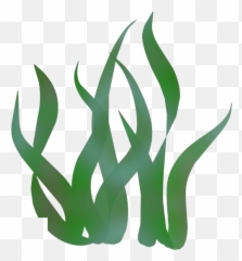 Transparent Coral Seaweed Picture Pngimagespics - Seaweed Coral Silhouette Emoji,Coral Reef Emoji