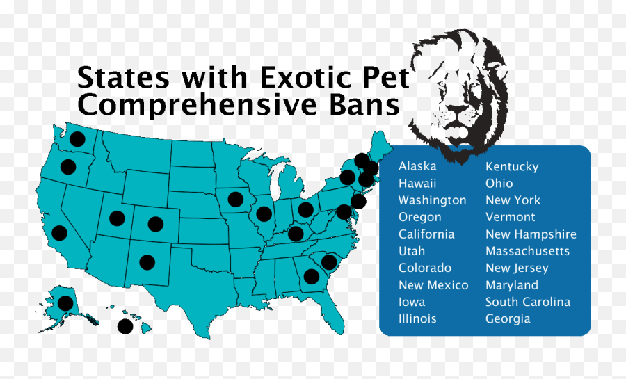 Owning An Exotic Pet Legalities U0026 Liabilities 2021 - Vaccination Rates By State Covid Emoji,Orangutan Showing Emotions
