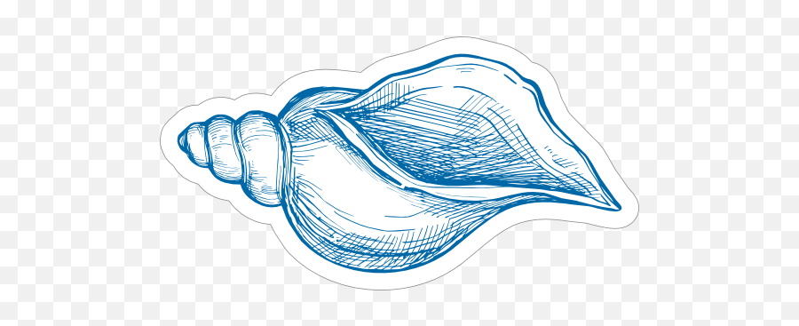 Blue Hand Drawn Drill Shell Sticker - Sketch Emoji,Seashell Emoji