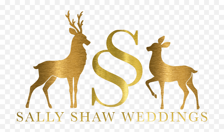 About Sally - Derbyshire Wedding Photography Animal Figure Emoji,Line Sally Emotion