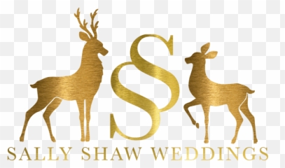About Sally - Derbyshire Wedding Photography Animal Figure Emoji,Line Sally Emotion