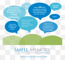 Smell - Maryland Nonprofits Emoji,Emotion Memory