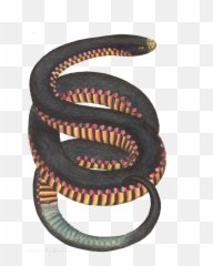 Dream Collage Working Prototype - Coluber Porphyriacus Emoji,Do Snakes Feel Emotion