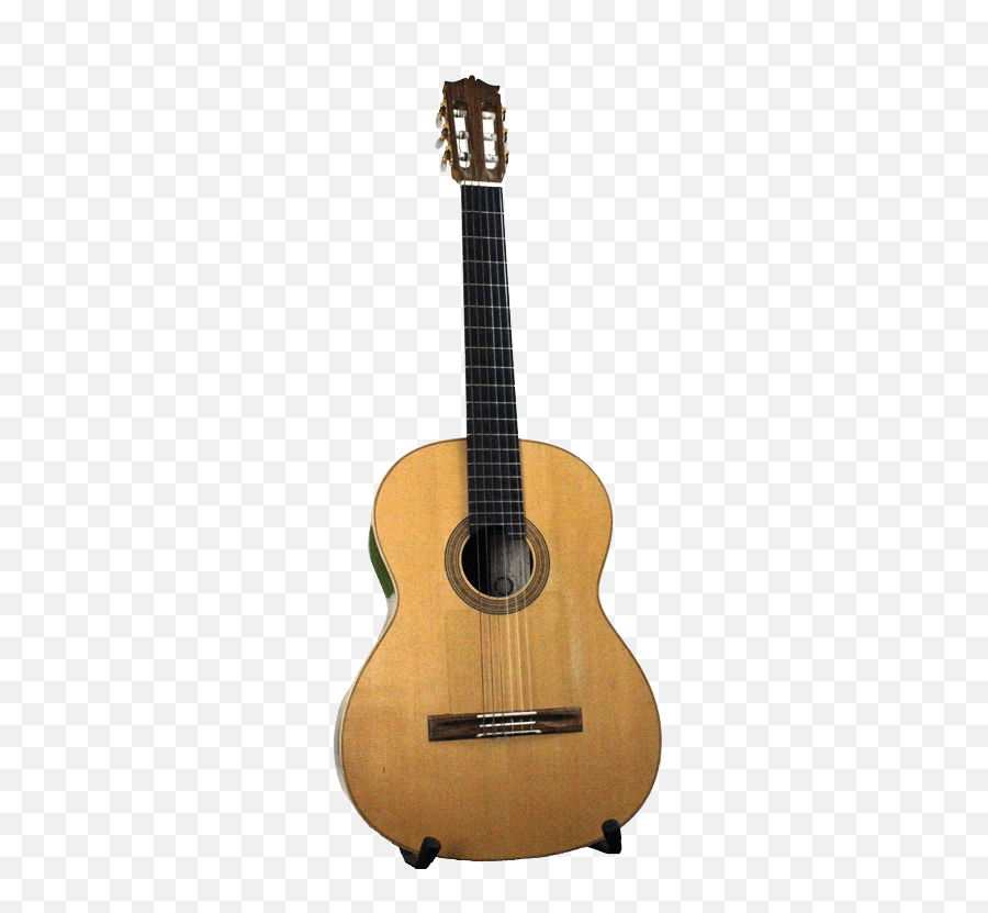 My Guitarsan Intimate Account Of My 4 Beauties Emoji,Flamenco Emotions