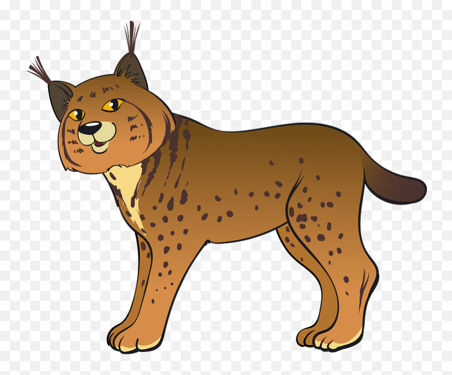 Bobcat Clipart - Bobcat Clipart Emoji,Bobcat Emoji