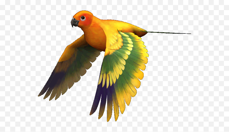 Top Parrots Caique Stickers For Android - Bird Clipart Gif Emoji,Parrot Emojis Android