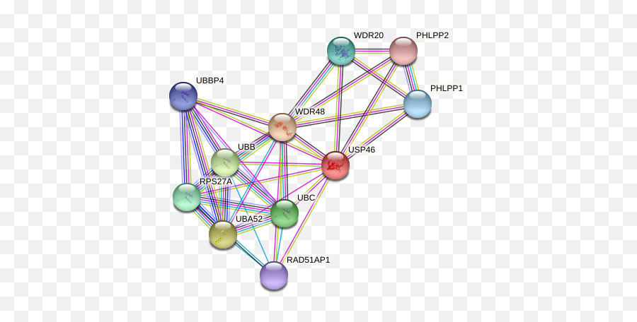 Usp46 Protein Human - String Interaction Network Dot Emoji,Emotion Regulation Crystal