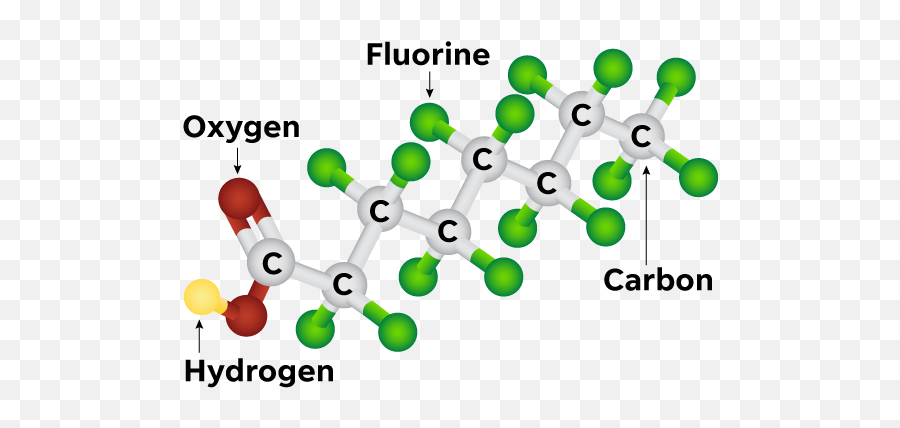 Bugs Edunorth - Pfas Molecule Emoji,Coevolution Layer Emotion