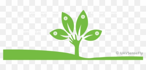 Aplicaciones - Agricultura Uavsensefly Language Emoji,Emotion Sensefly Software Manuel