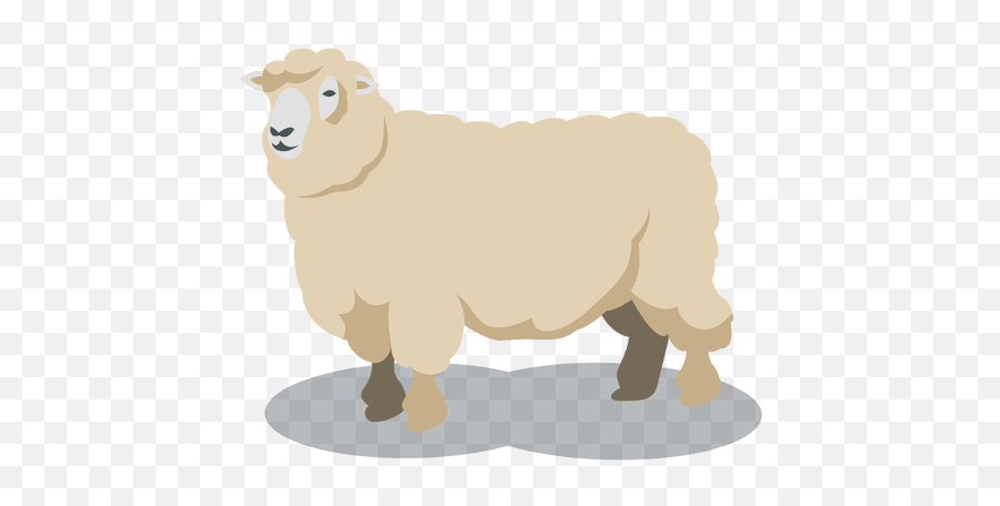 Sheep And Wool - Vector Sheep Png Emoji,Lamb Emoji