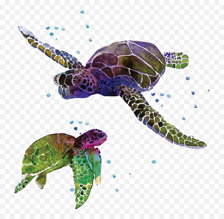 Colorful Abstract Turtles Animal Wall Sticker - Tenstickers T Shirt Tortue Emoji,Sea Turtle Emoticon