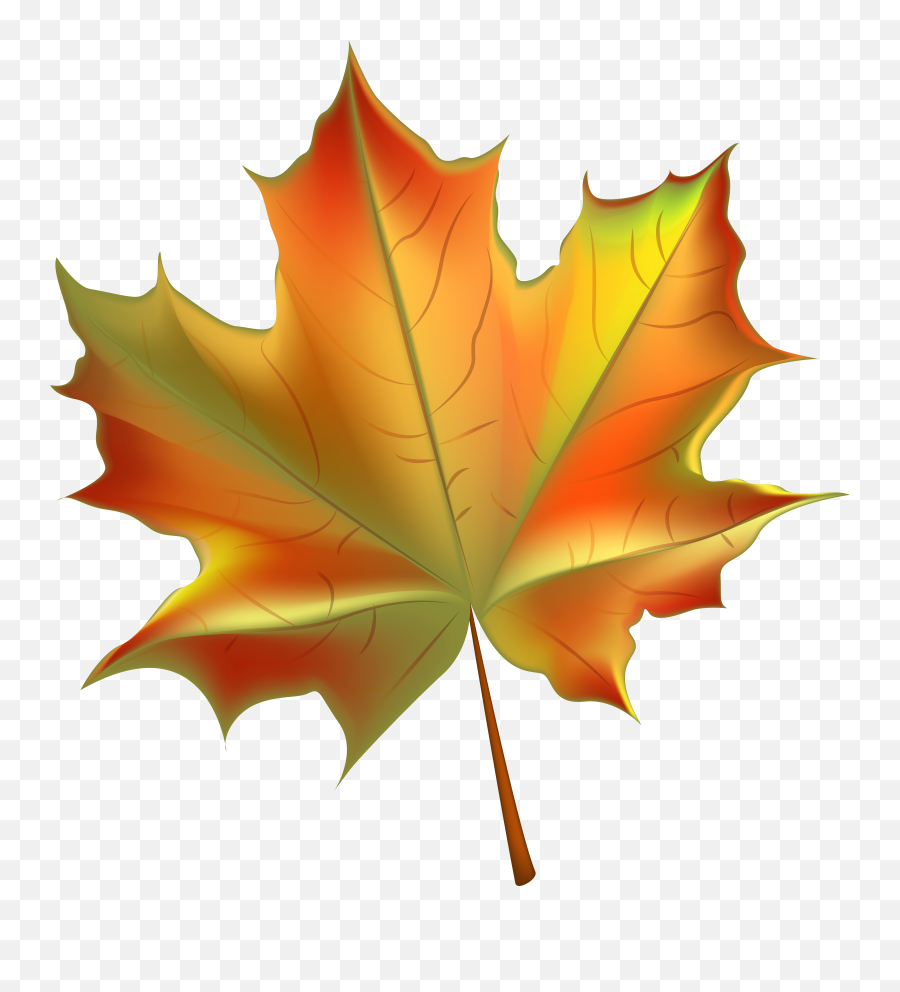 Pin - Transparent Background Autumn Leaf Clipart Emoji,Fall Leaf Emoji