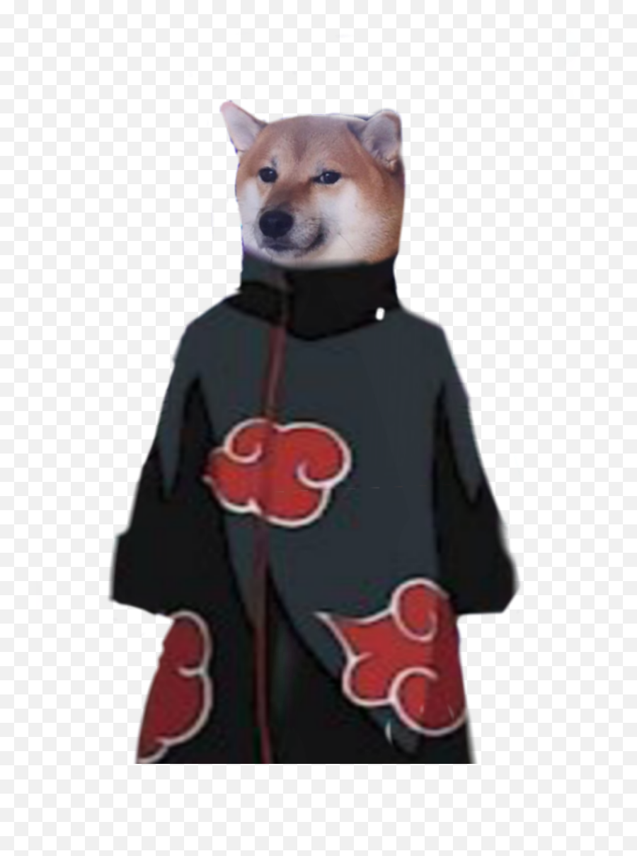 Doge Png Emoji,Shibe Emoticon