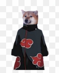 Doge Png Emoji,Shibe Emoticon