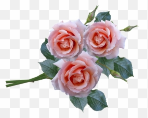 Spring Pink Rose Flower Bunch Png Transparent Image Png Mart Emoji,Free Bouquet Of Flowers Emoji