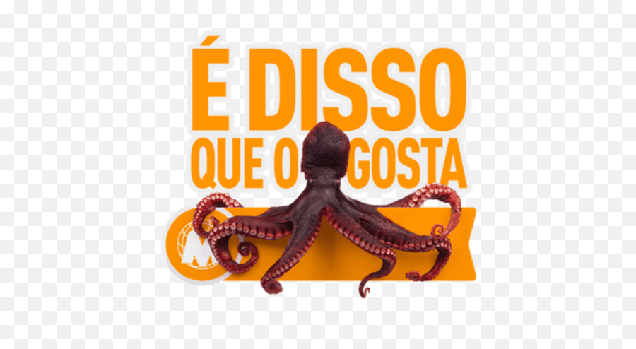 900 Ideias De Kkkkkk Em 2021 Frases Engraçadas - Common Octopus Emoji,Piadas Whatsapp Emoticons