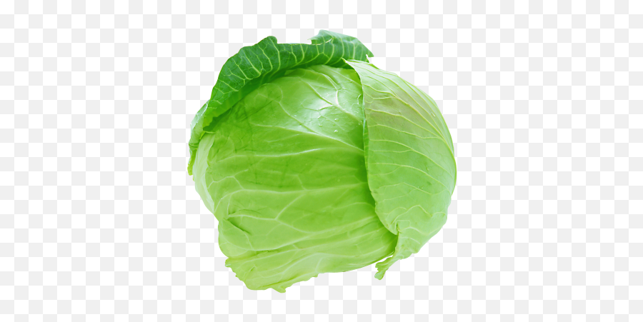 Download Vegetable Free Png Transparent Image And Clipart - Cabbage Png Emoji,Vegetable Emoticons
