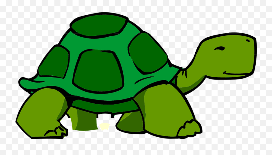 Dumbbell Exercise For Beginners - Turtle Clipart Transparent Background Emoji,Google Turtle Emoji