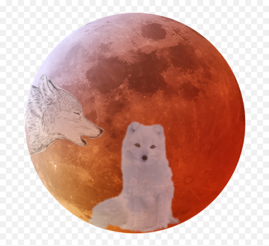 The Most Edited Wolfmoon Picsart - Full Moon Emoji,Moon Love Fox Emoji