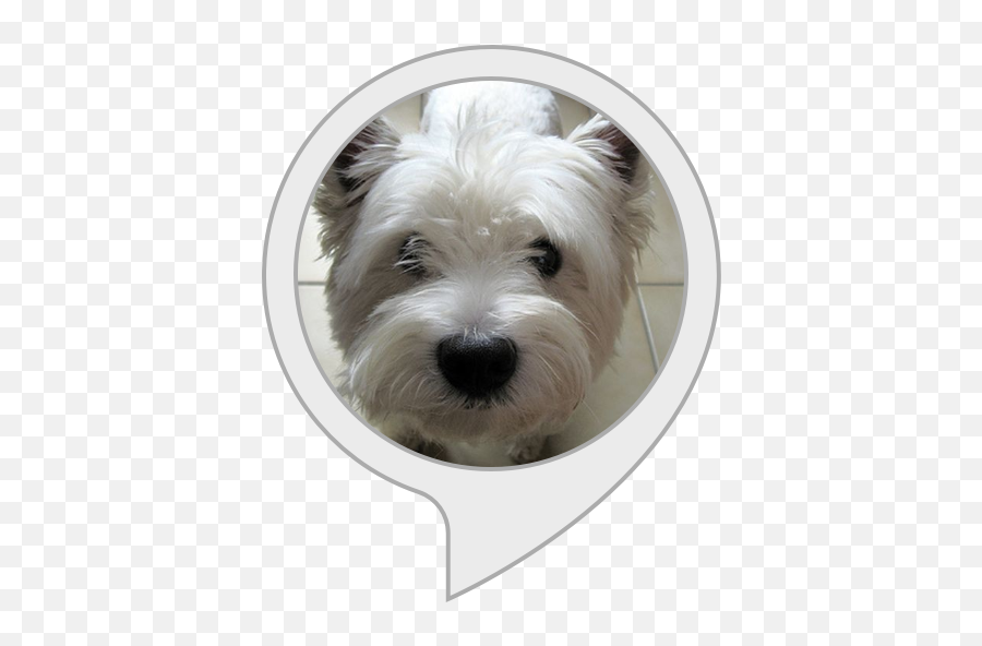 Alexa Skills - Vulnerable Native Breeds Emoji,Westie Dog Emoticon