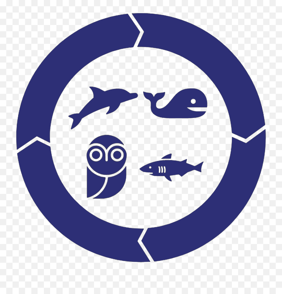 Next Level Business Coaching Imagine Evolution - Ground Sharks Emoji,Emoticon Showing Ego