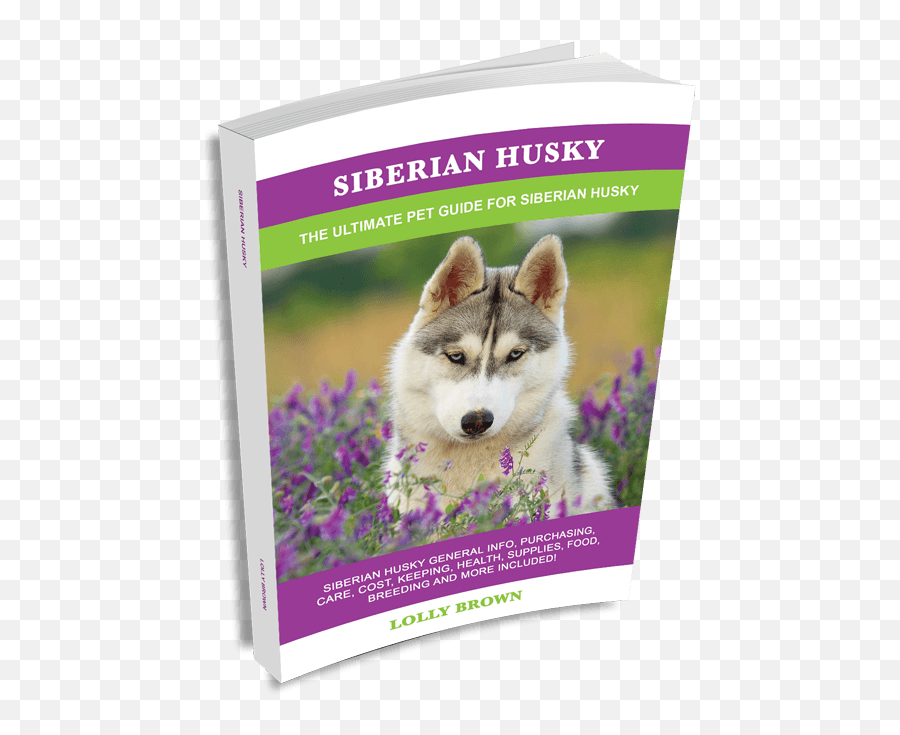 Siberian Husky Landing - Northern Breed Group Emoji,Husky Stages Of Emotion