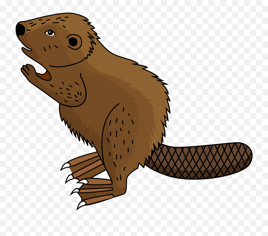 Beavers Cliparts Png Images - Beaver Clipart Png Emoji,Hairless Beaver Emoticon