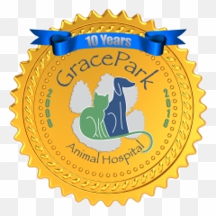 This Month Is Grace Park Animal - High Quality Emoji,Lunar New Year Emojis Golden Pig
