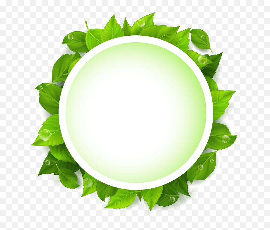 Download Box Leaf Text Leaves Euclidean - Decorative Emoji,Leaf Snowflake Bear Earth Emoji