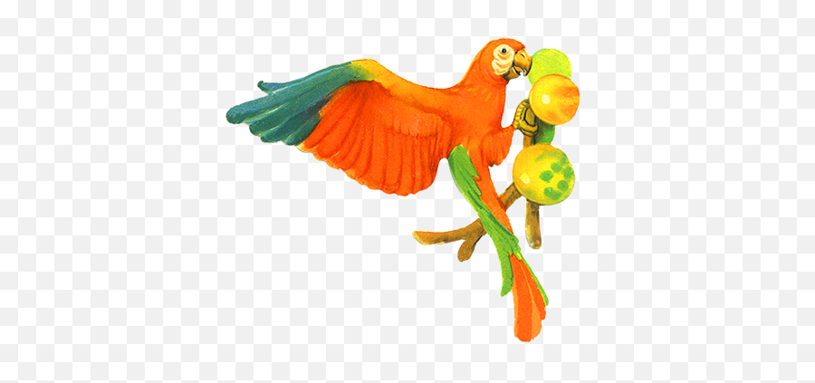 Bird Toy Png - Clip Art Library Parrot Eating Clipart Emoji,Cockatoo Facebook Emoji