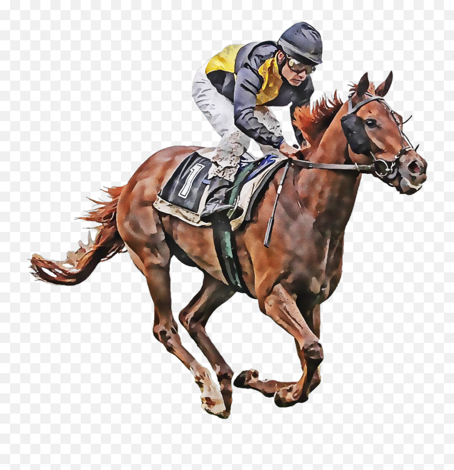 Horse Jockey Equestrian - Free Image On Pixabay Emoji,Facebook Racehorse Emoticon