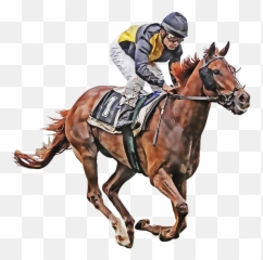 Horse Jockey Equestrian - Free Image On Pixabay Emoji,Facebook Racehorse Emoticon