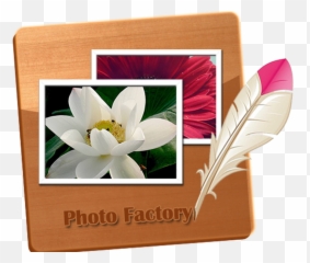 Gallery - Photo Editor Android Free Download Gallery Emoji,Tiktok Remove Emojis