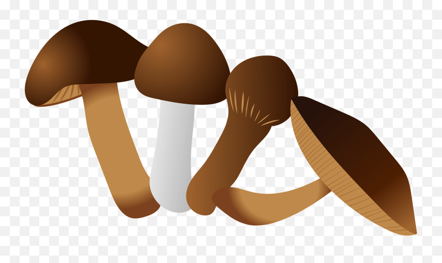 Mushroom Clipart - Common Mushroom Emoji,Mushroom Emoji