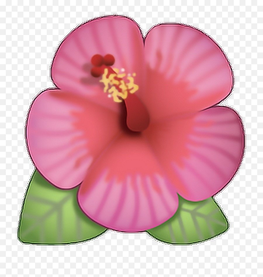Flor Emoji Rosa Ed Cute Png Flower Cool - Transparent Background Flower Emoji,Flower Emoji Png