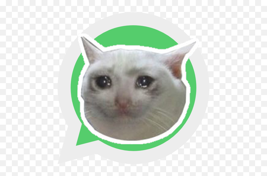 Sad Cat Meme Thumbs Up - Happy Cat Sad Cat Meme Emoji,Sad Cat Emoji