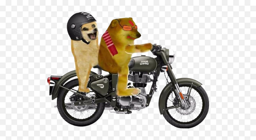 Why Do Famous Quorans Never Do Face Reveals - Quora Royal Enfield Motorcycles Emoji,Doge Emojis
