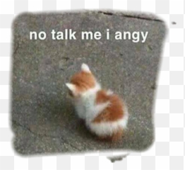 Cat Angy Sadcat Meow Sticker By Dani - No Talk Me I Angy Cat Emoji,Emojis Angy
