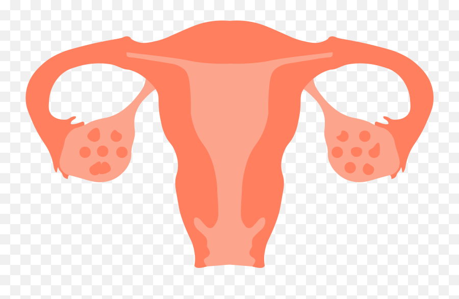 How Does Age Affect Infertility - Fallopian Tube Transparent Emoji,Chronic Illness Emojis