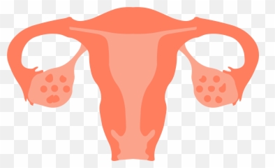 How Does Age Affect Infertility - Fallopian Tube Transparent Emoji,Chronic Illness Emojis