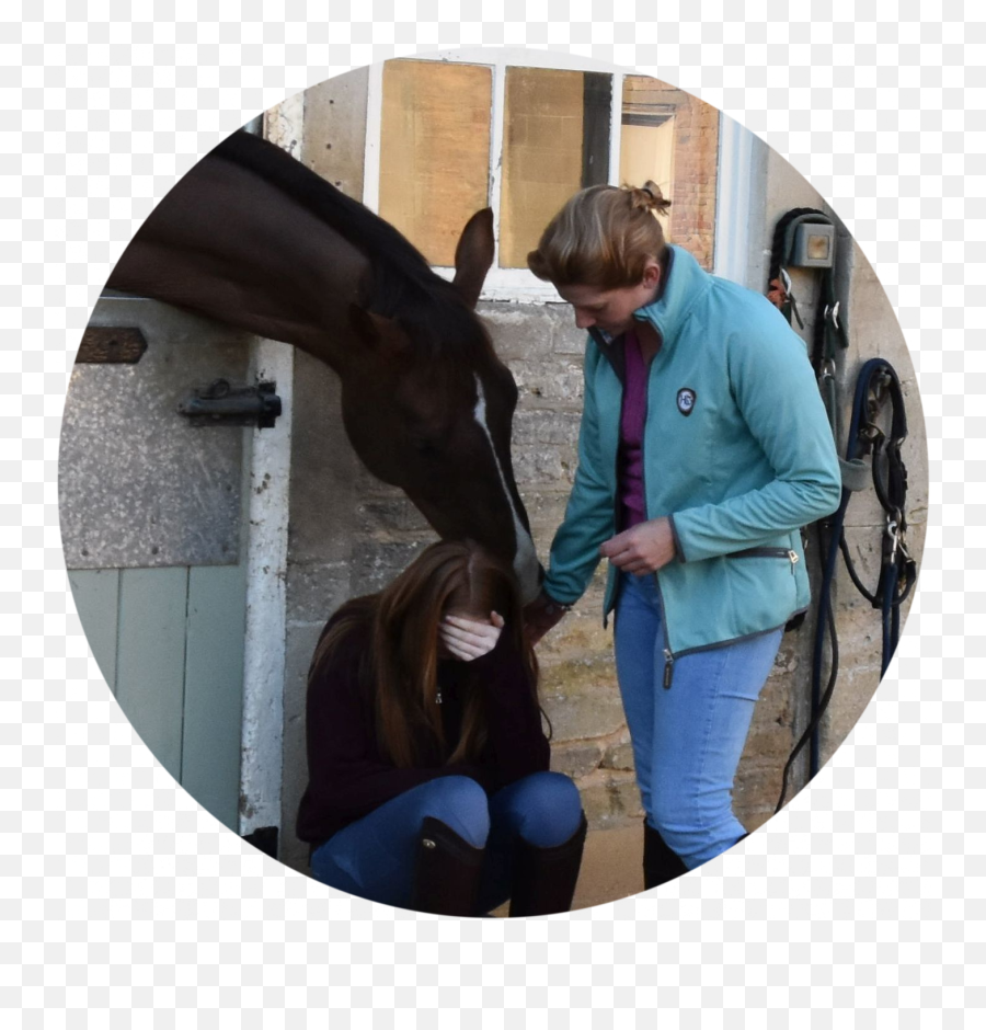 Courageous Conversations Help For Horse Riders Riders Mind Emoji,Emotion Horse Rider Metaphor