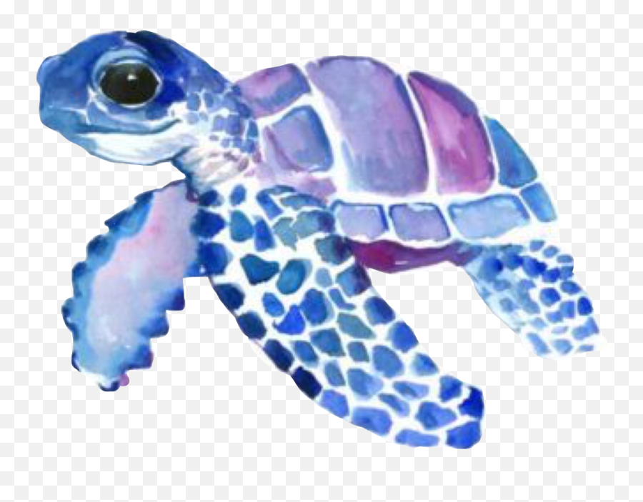 Awkward Sticker - Cute Sea Turtle Canvas Emoji,Awkward Turtle Emoji