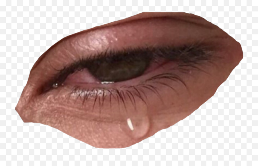 Crying Crybaby Sticker - Crying Eye Png Aesthetic Emoji,Moody Emotion