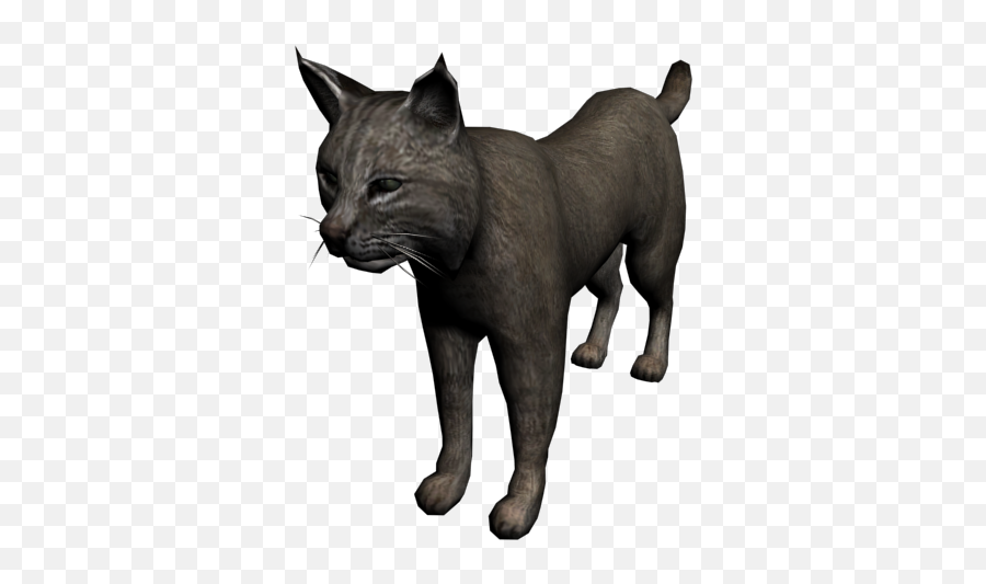 Bobcat - There Bobcats In Rdr2 Emoji,Bobcat Emoji