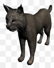 Bobcat - There Bobcats In Rdr2 Emoji,Bobcat Emoji