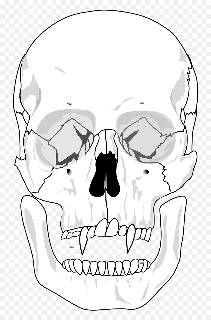 Evil Skull Devil Teeth Skeleton - Devil Skeleton Png Emoji,Unhappycartoon Animal Range Of Emotions