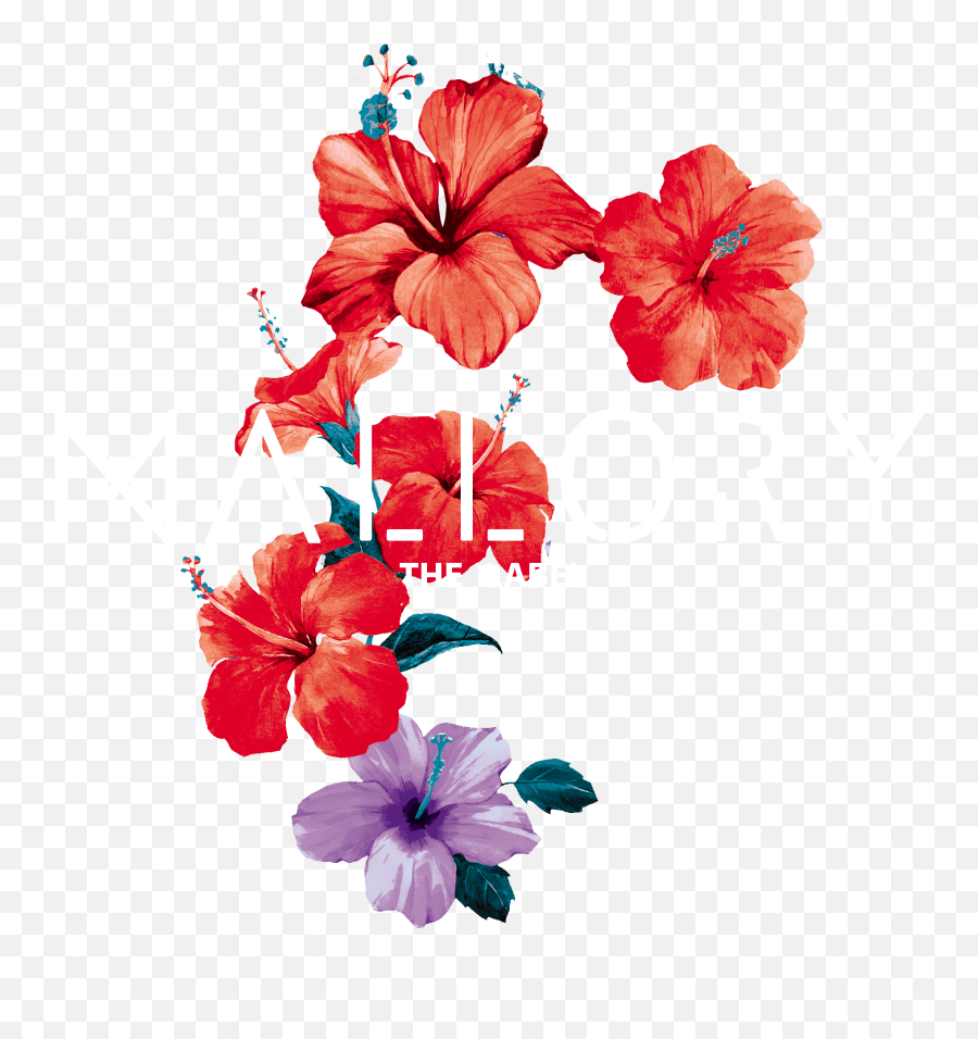 Mallorythelabel Sticker By Mallory For Emoji,Hibiscus Emoji