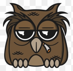 Funny Owl From Cartoon Free Image Download - Funny Owl Faces Cartoons Emoji,Cartoon Images Funny For Emotions